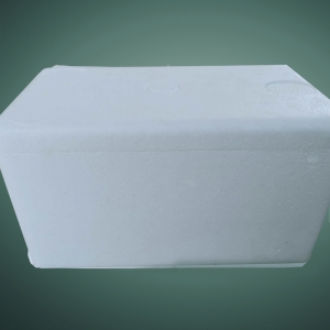 Fruit insulation box